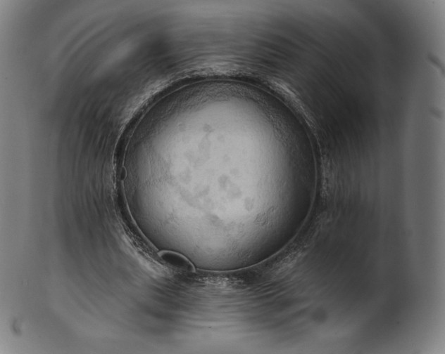 X0000101210439200807111037