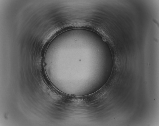 X0000101210440200807111037