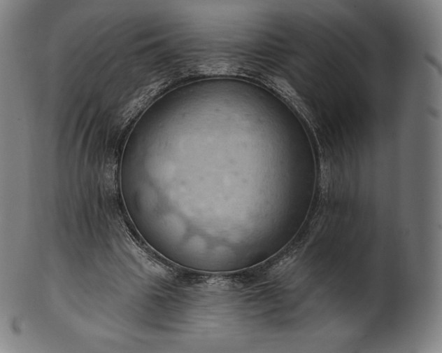 X0000101210441200807111037