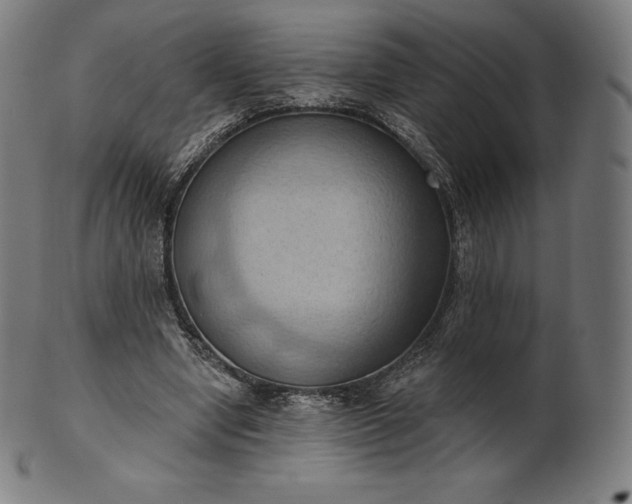 X0000101210442200807111037