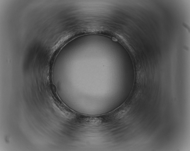 X0000101210443200807111037