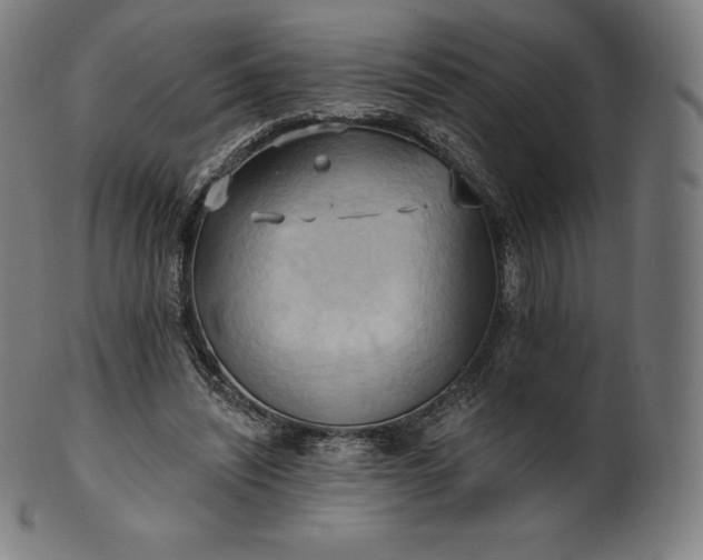 X0000101210444200807111037