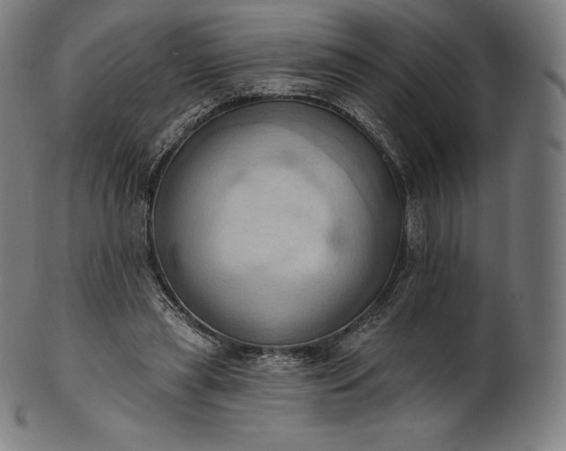 X0000101210445200807111037