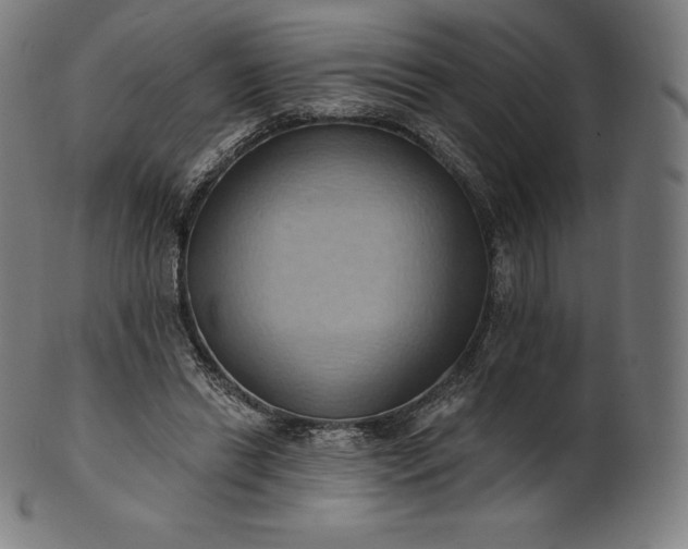 X0000101210446200807111037