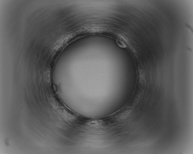 X0000101210447200807111037