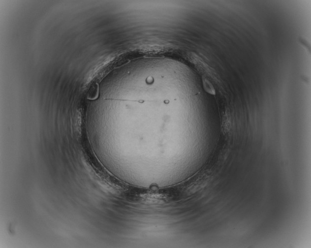 X0000101210448200807111037