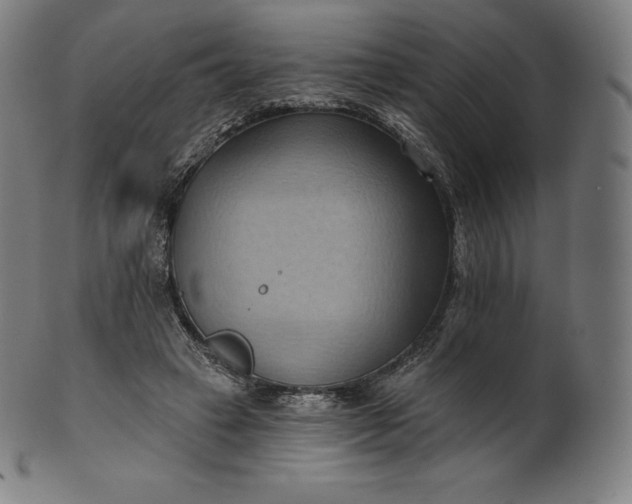 X0000101210449200807111037