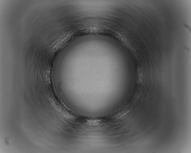 X0000101210450200807111037