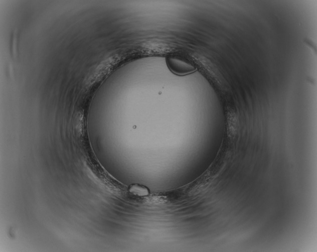 X0000101210451200807111037