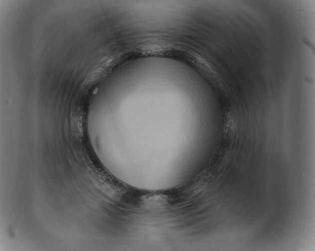 X0000101210452200807111037