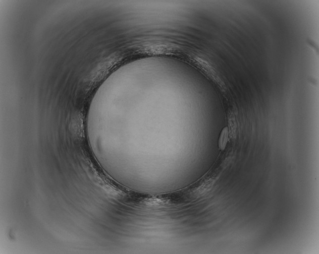 X0000101210453200807111037