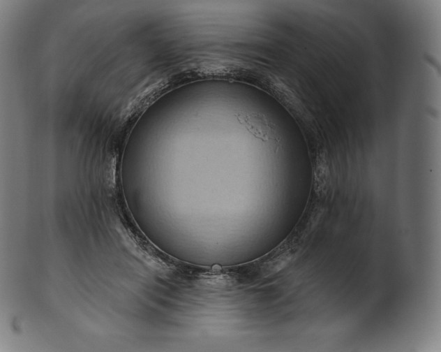 X0000101210454200807111037