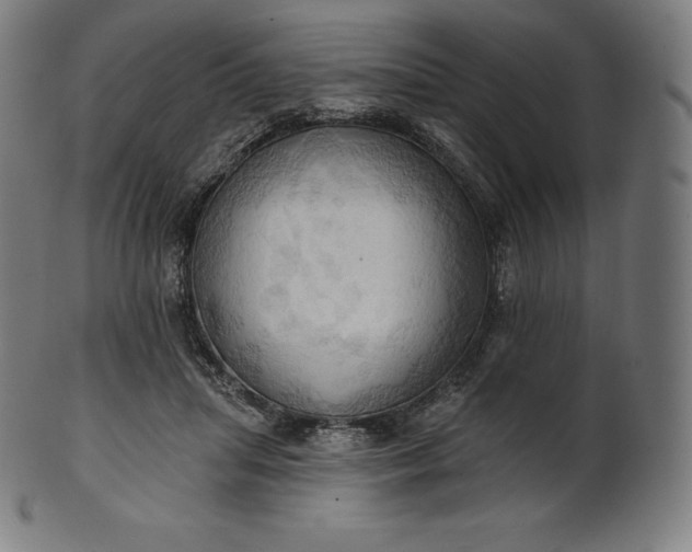 X0000101210455200807111037