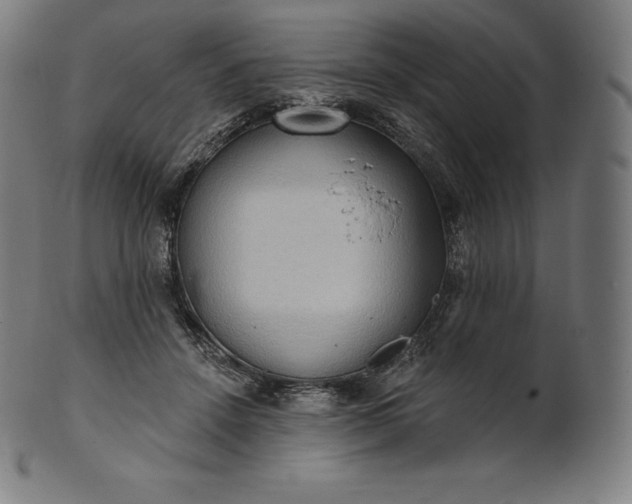 X0000101210456200807111037