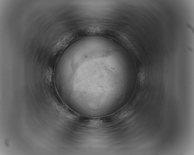 X0000101210458200807111037