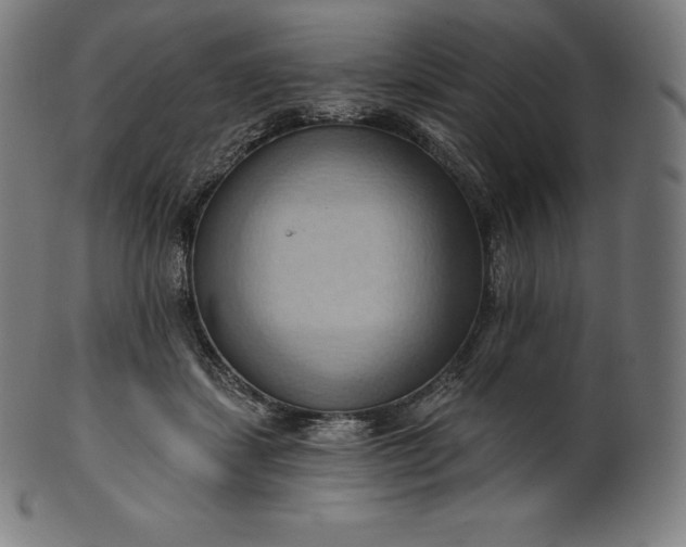 X0000101210459200807111037