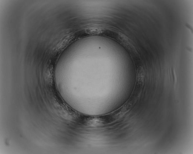 X0000101210460200807111037