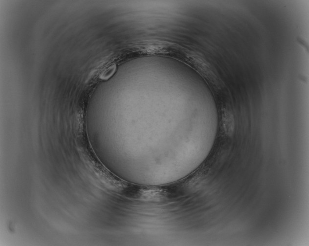 X0000101210461200807111037