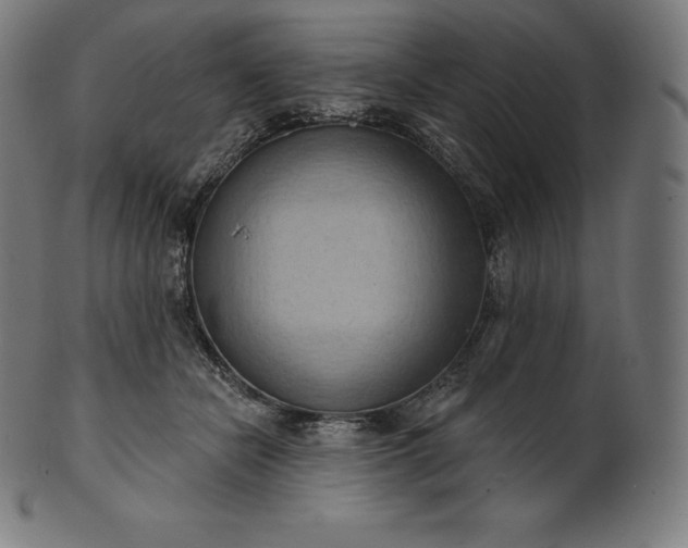 X0000101210462200807111037