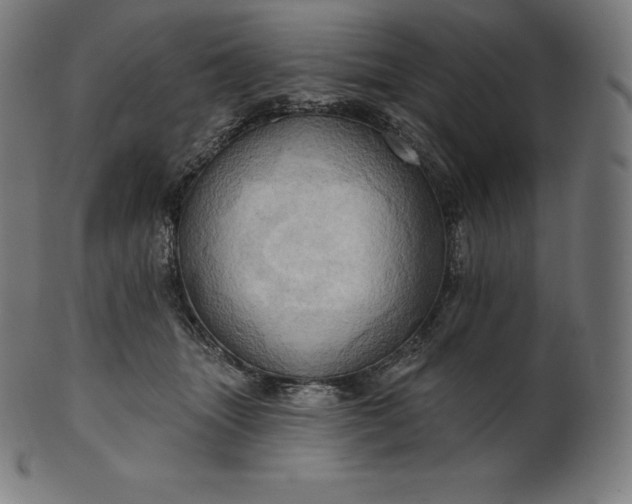 X0000101210463200807111037