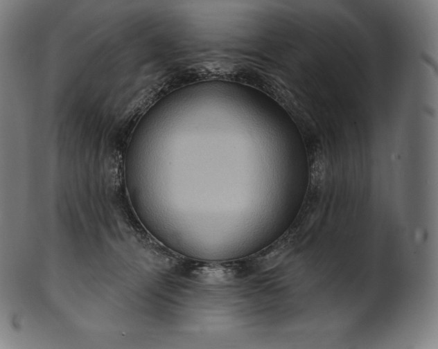 X0000101210464200807111037