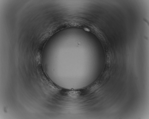 X0000101210465200807111037