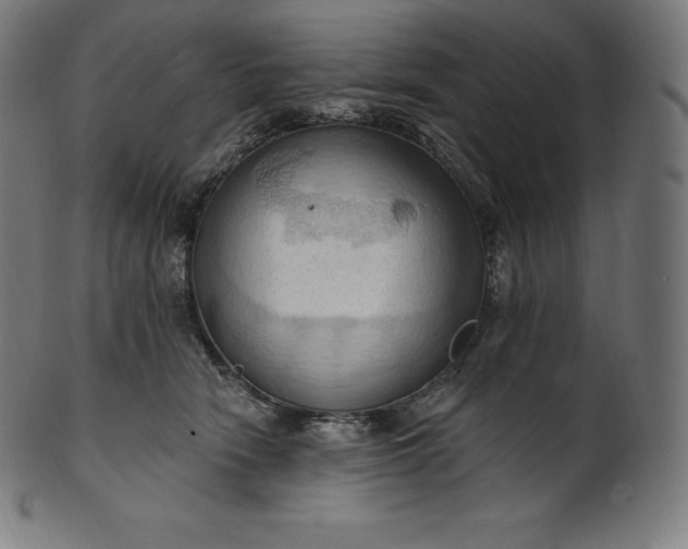 X0000101210466200807111037