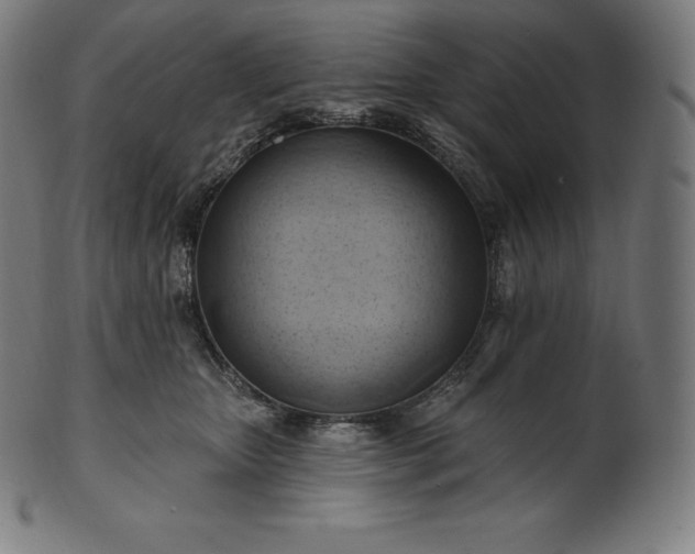 X0000101210467200807111037