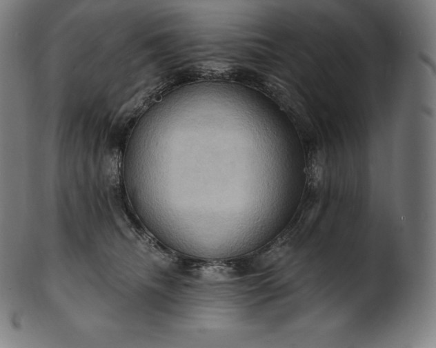 X0000101210468200807111037