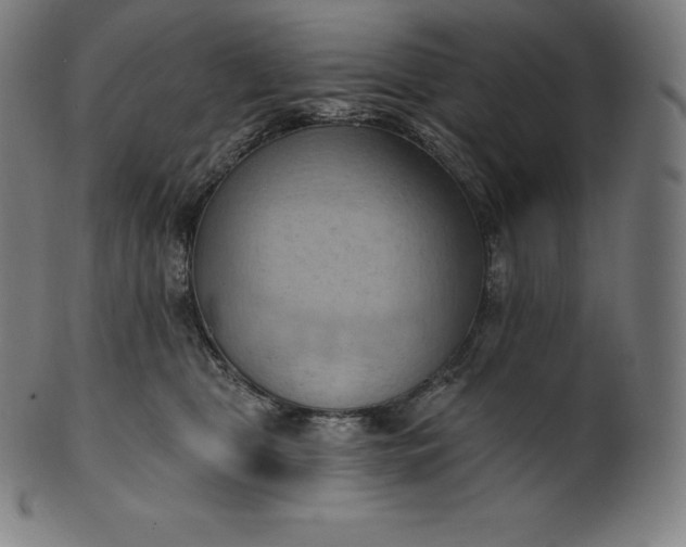 X0000101210469200807111037