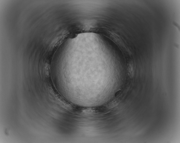 X0000101210470200807111037