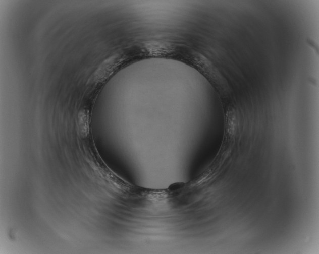 X0000101210471200807111037