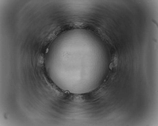 X0000101210472200807111037