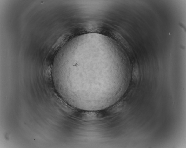 X0000101210473200807111037