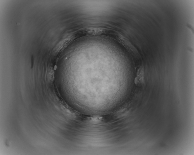 X0000101210474200807111037