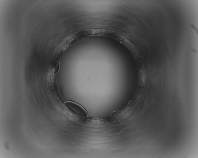 X0000101210475200807111037