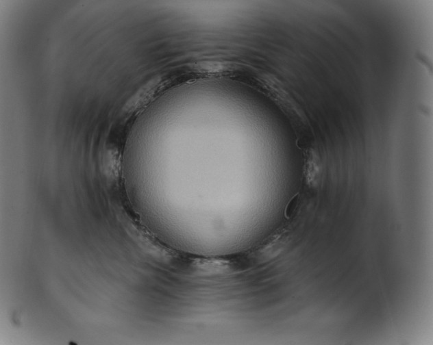 X0000101210476200807111037