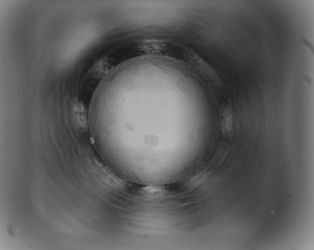 X0000101210477200807111037