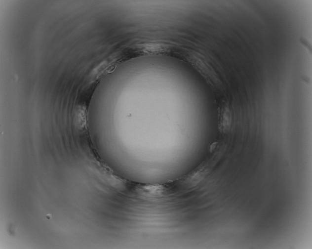 X0000101210478200807111037