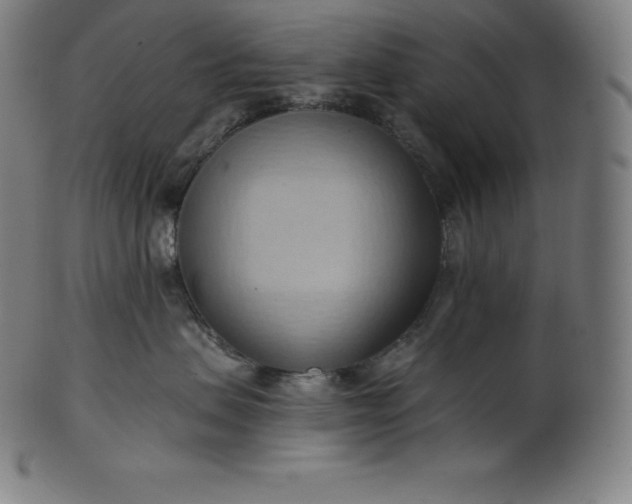 X0000101210479200807111037