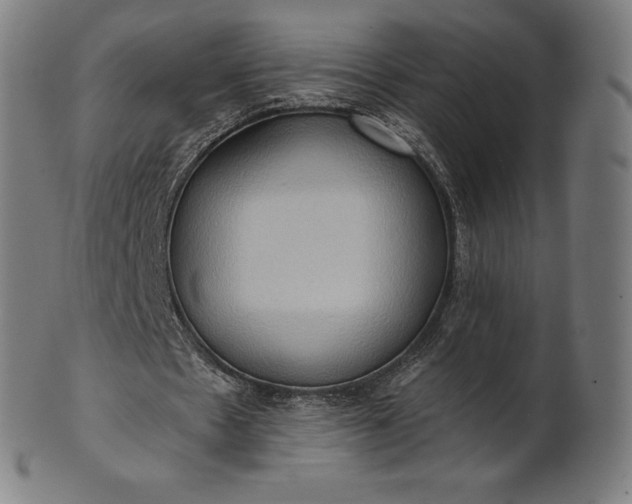 X0000101210481200807111037