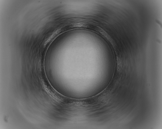 X0000101210482200807111037