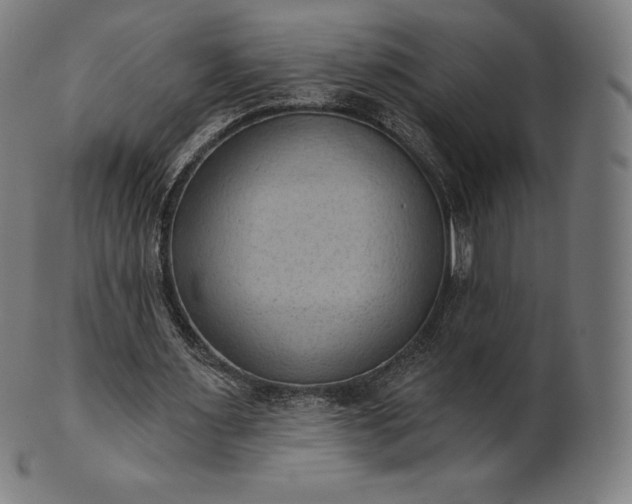 X0000101210483200807111037