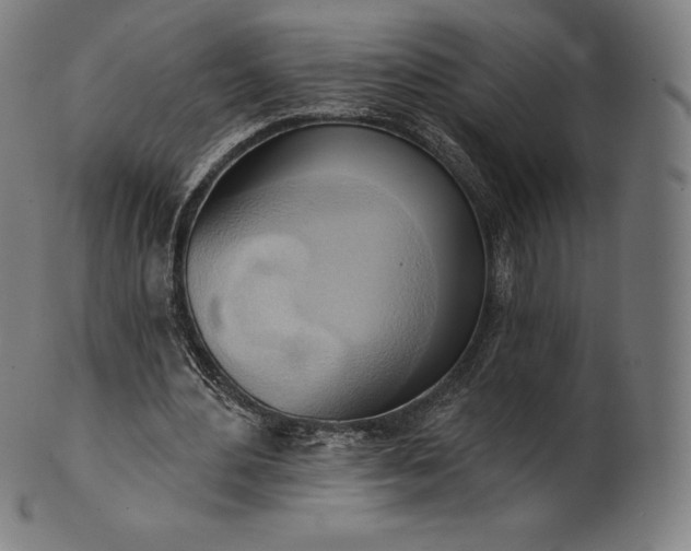 X0000101210484200807111037