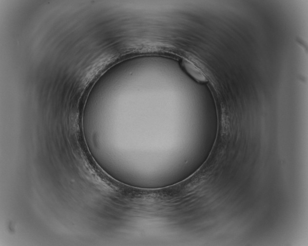 X0000101210485200807111037