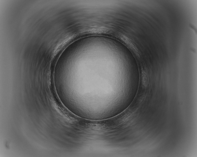 X0000101210486200807111037