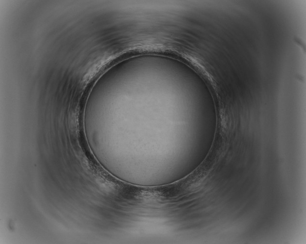 X0000101210487200807111037