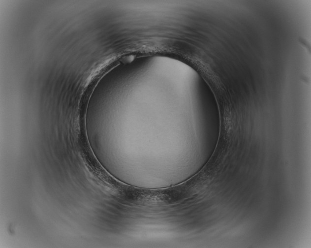 X0000101210488200807111037