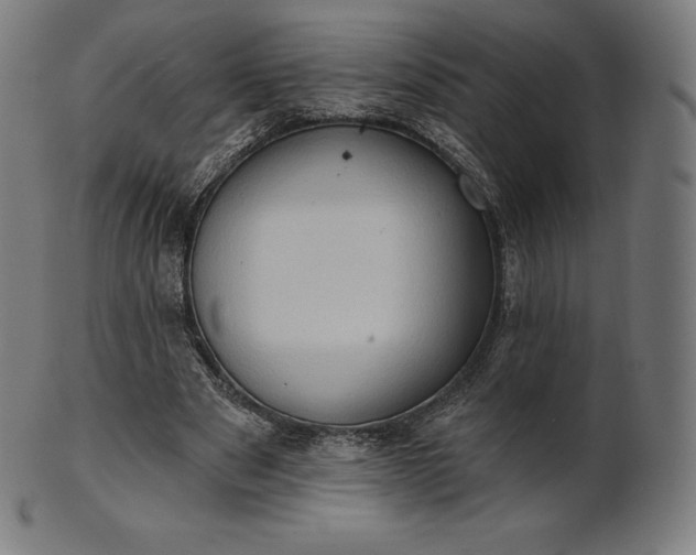 X0000101210489200807111037