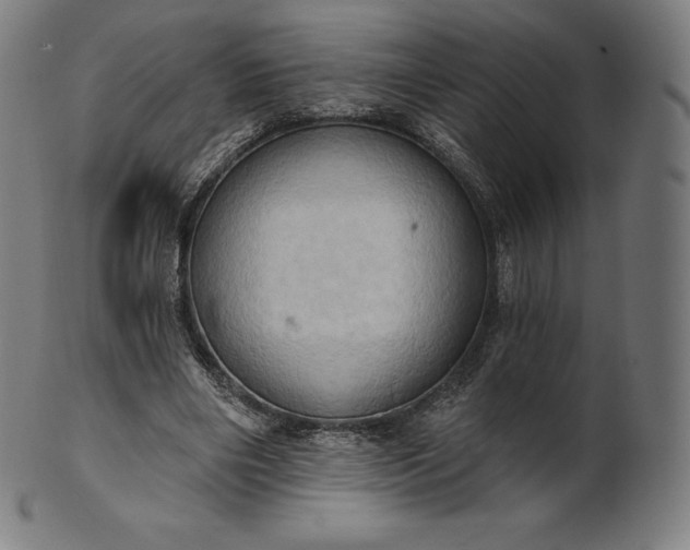 X0000101210490200807111037